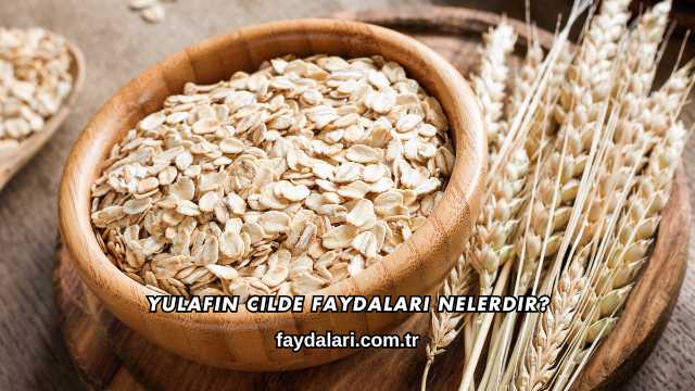 Yulafın Cilde Faydaları Nelerdir?