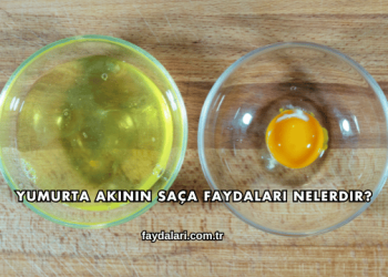 Yumurta Akının Saça Faydaları Nelerdir?