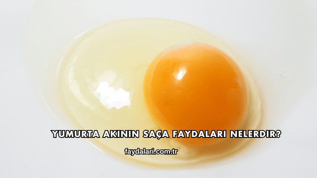 Yumurta Akının Saça Faydaları Nelerdir?