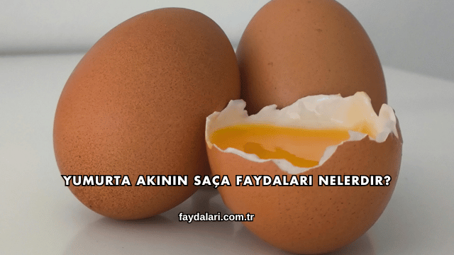 Yumurta Akının Saça Faydaları Nelerdir?