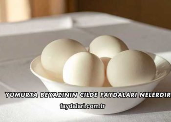 Yumurta Beyazının Cilde Faydaları Nelerdir?