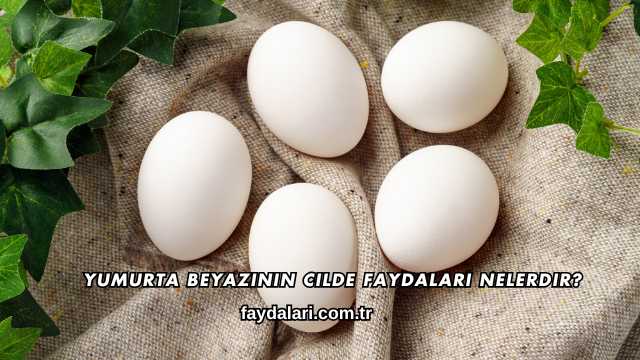 Yumurta Beyazının Cilde Faydaları Nelerdir?
