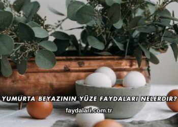 Yumurta Beyazının Yüze Faydaları Nelerdir?