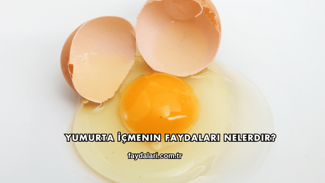 Yumurta İçmenin Faydaları Nelerdir?