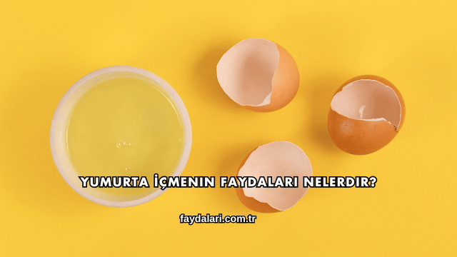 Yumurta İçmenin Faydaları Nelerdir?