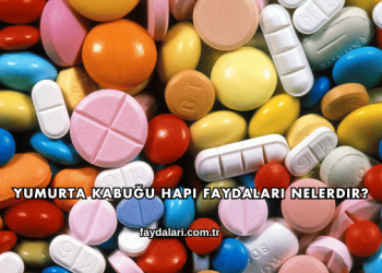 Yumurta Kabuğu Hapı Faydaları Nelerdir?