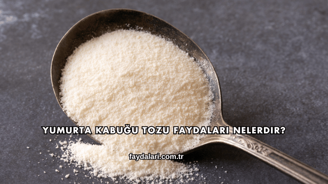 Yumurta Kabuğu Tozu Faydaları Nelerdir?