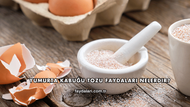 Yumurta Kabuğu Tozu Faydaları Nelerdir?