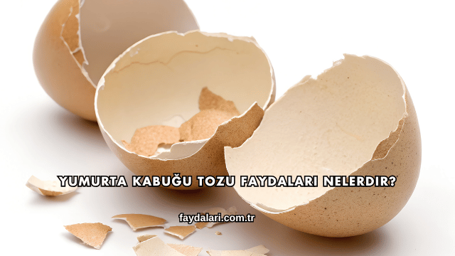Yumurta Kabuğu Tozu Faydaları Nelerdir?