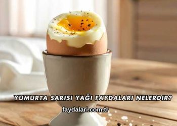 Yumurta Sarısı Yağı Faydaları Nelerdir?