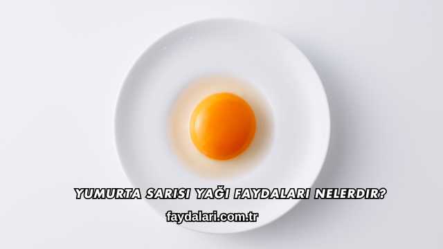Yumurta Sarısı Yağı Faydaları Nelerdir?