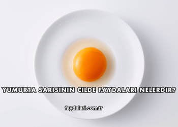 Yumurta Sarısının Cilde Faydaları Nelerdir?