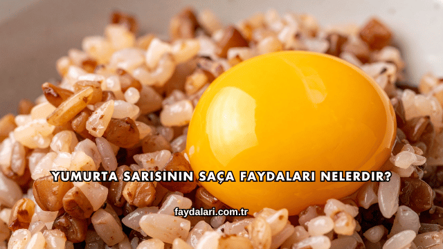 Yumurta Sarısının Saça Faydaları Nelerdir?