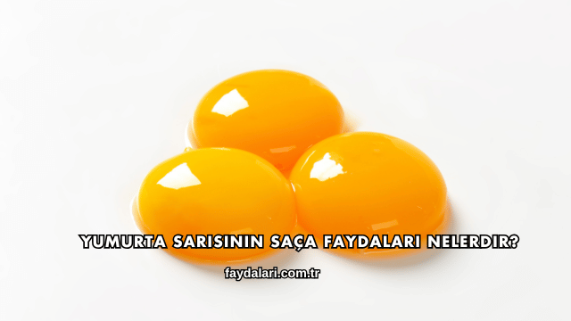 Yumurta Sarısının Saça Faydaları Nelerdir?