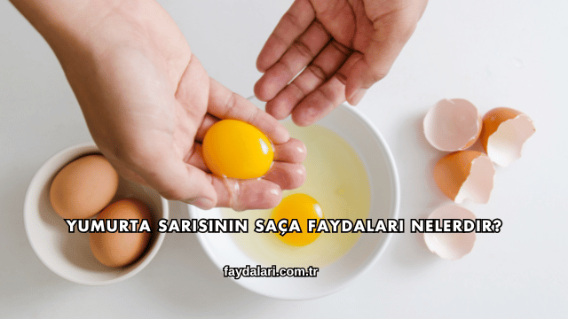 Yumurta Sarısının Saça Faydaları Nelerdir?