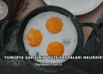 Yumurta Sarısının Yüze Faydaları Nelerdir?