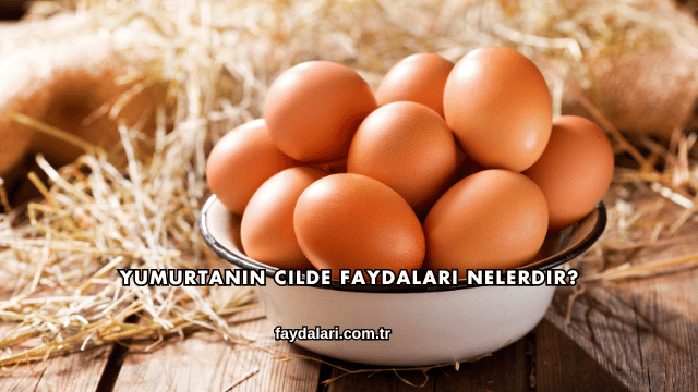 Yumurtanın Cilde Faydaları Nelerdir?