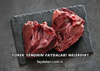 Yürek Yemenin Faydaları Nelerdir?