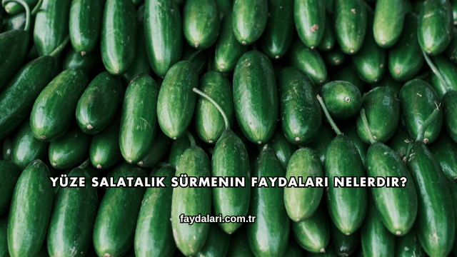 Yüze Salatalık Sürmenin Faydaları Nelerdir?