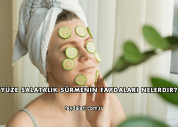 Yüze Salatalık Sürmenin Faydaları Nelerdir?