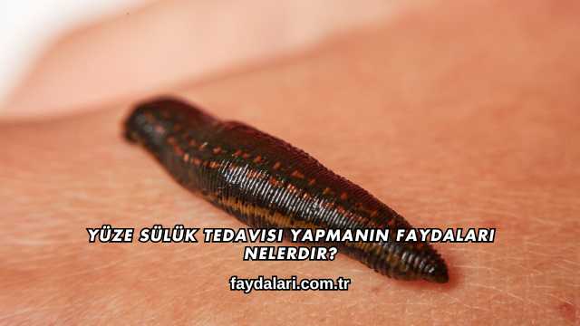 Yüze Sülük Tedavisi Yapmanın Faydaları Nelerdir?