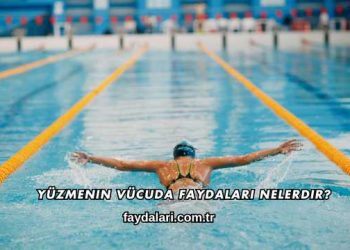 Yüzmenin Vücuda Faydaları Nelerdir?