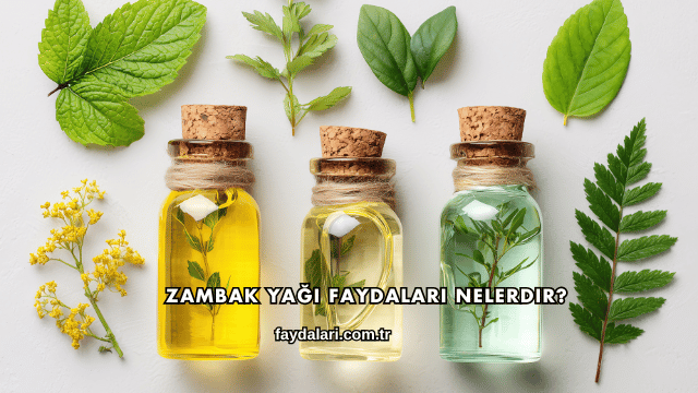 Zambak Yağı Faydaları Nelerdir?