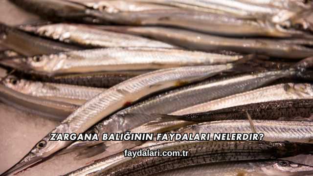 Zargana Balığının Faydaları Nelerdir?