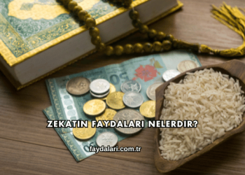 Zekatın Faydaları Nelerdir?