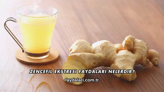 Zencefil Ekstresi Faydaları Nelerdir?