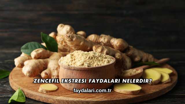 Zencefil Ekstresi Faydaları Nelerdir?