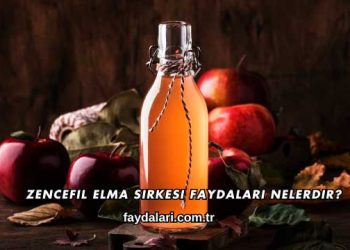 Zencefil Elma Sirkesi Faydaları Nelerdir?