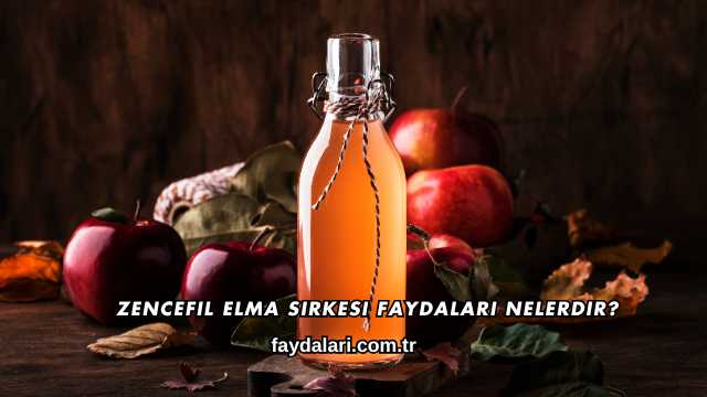 Zencefil Elma Sirkesi Faydaları Nelerdir?