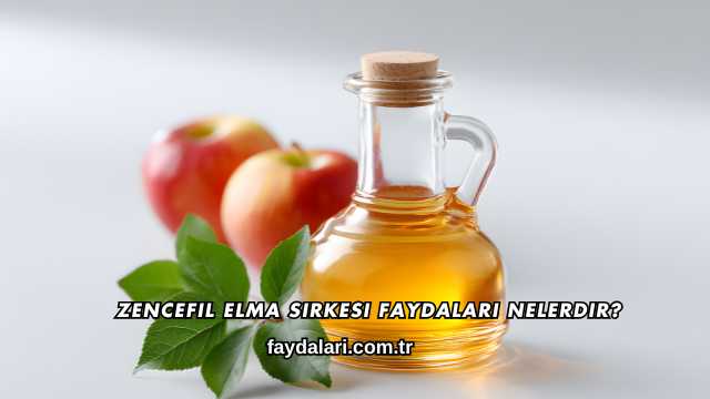 Zencefil Elma Sirkesi Faydaları Nelerdir?