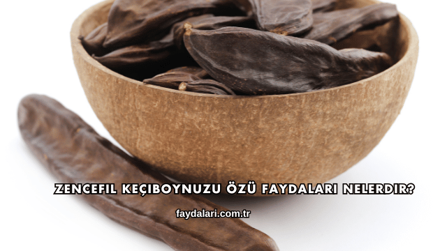 Zencefil Keçiboynuzu Özü Faydaları Nelerdir?