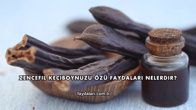 Zencefil Keçiboynuzu Özü Faydaları Nelerdir?