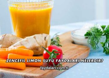 Zencefil Limon Suyu Faydaları Nelerdir?