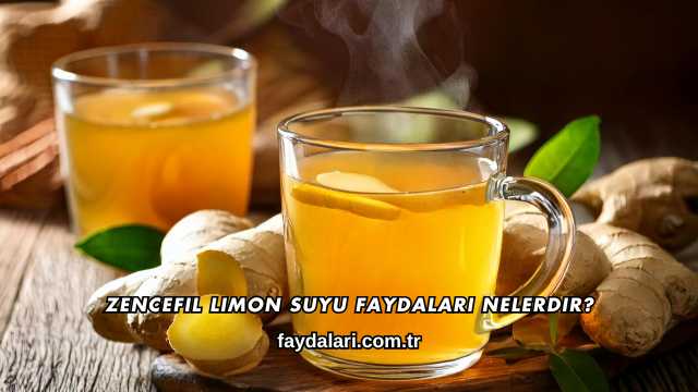Zencefil Limon Suyu Faydaları Nelerdir?