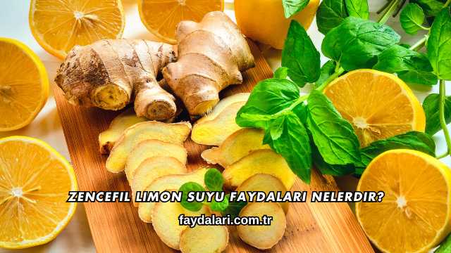 Zencefil Limon Suyu Faydaları Nelerdir?