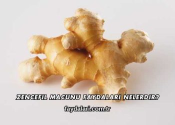 Zencefil Macunu Faydaları Nelerdir?