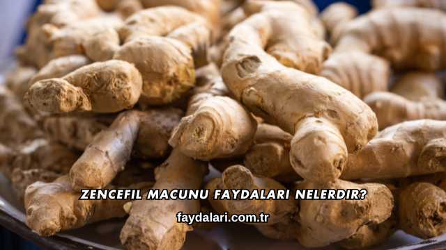 Zencefil Macunu Faydaları Nelerdir?