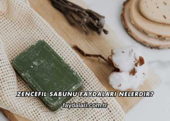 Zencefil Sabunu Faydaları Nelerdir?