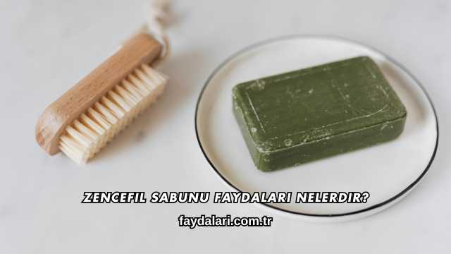 Zencefil Sabunu Faydaları Nelerdir?