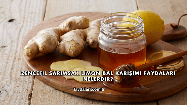 Zencefil Sarımsak Limon Bal Karışımı Faydaları Nelerdir?