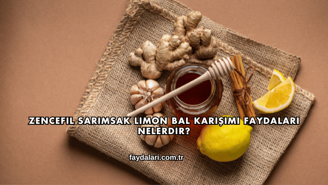 Zencefil Sarımsak Limon Bal Karışımı Faydaları Nelerdir?