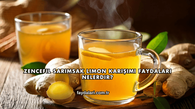 Zencefil Sarımsak Limon Karışımı Faydaları Nelerdir?