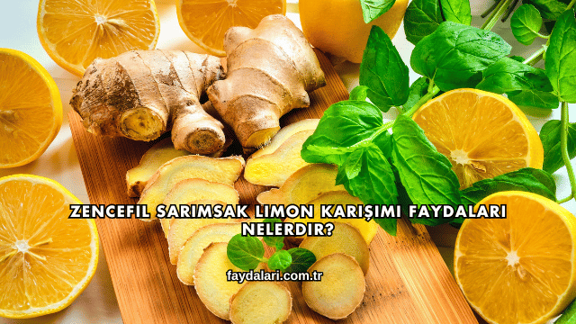 Zencefil Sarımsak Limon Karışımı Faydaları Nelerdir?
