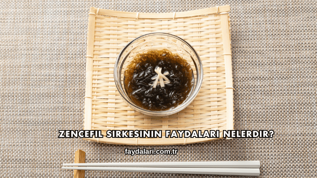 Zencefil Sirkesinin Faydaları Nelerdir?