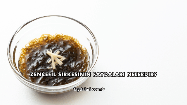 Zencefil Sirkesinin Faydaları Nelerdir?