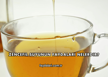 Zencefil Suyunun Faydaları Nelerdir?